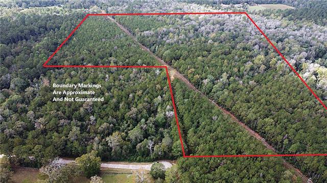 49-acres Holliday Road Folsom, LA 70437 - Photo 4 of 6