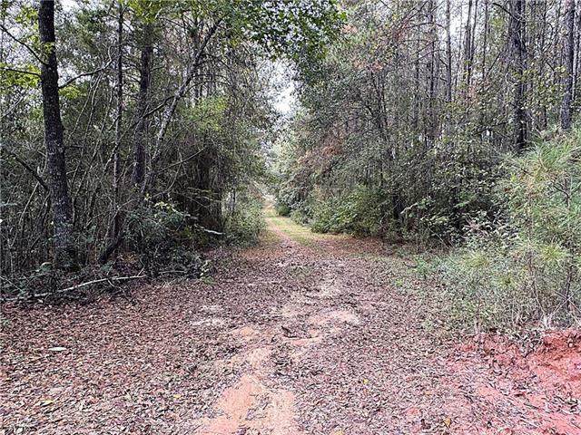 49-acres Holliday Road Folsom, LA 70437 - Photo 5 of 6