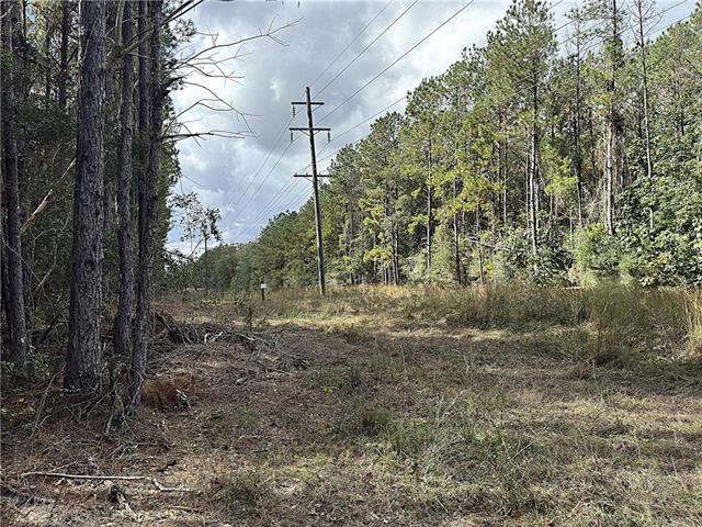 49-acres Holliday Road Folsom, LA 70437 - Photo 6 of 6