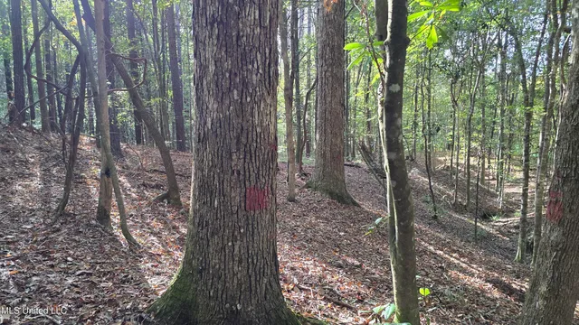 $120,000 | 1404 Causey Road, Meadville, MS 39653