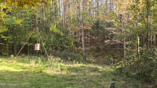 $120,000 | 1404 Causey Road, Meadville, MS 39653
