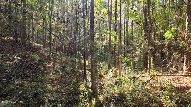 $120,000 | 1404 Causey Road, Meadville, MS 39653