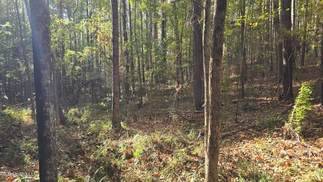 $120,000 | 1404 Causey Road, Meadville, MS 39653