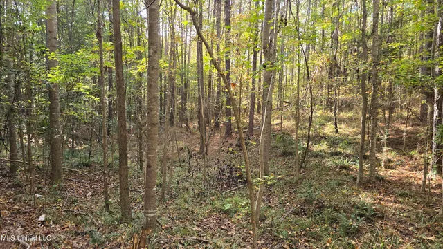 $120,000 | 1404 Causey Road, Meadville, MS 39653