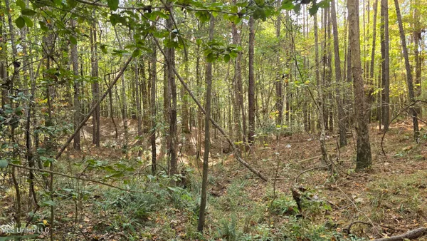 $120,000 | 1404 Causey Road, Meadville, MS 39653