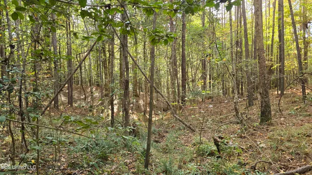 $120,000 | 1404 Causey Road, Meadville, MS 39653