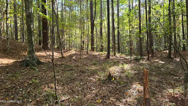 $120,000 | 1404 Causey Road, Meadville, MS 39653