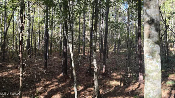 $120,000 | 1404 Causey Road, Meadville, MS 39653