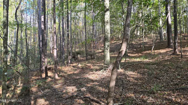 $120,000 | 1404 Causey Road, Meadville, MS 39653