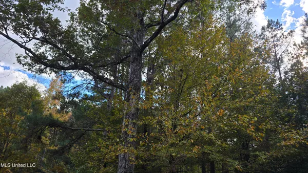 $120,000 | 1404 Causey Road, Meadville, MS 39653