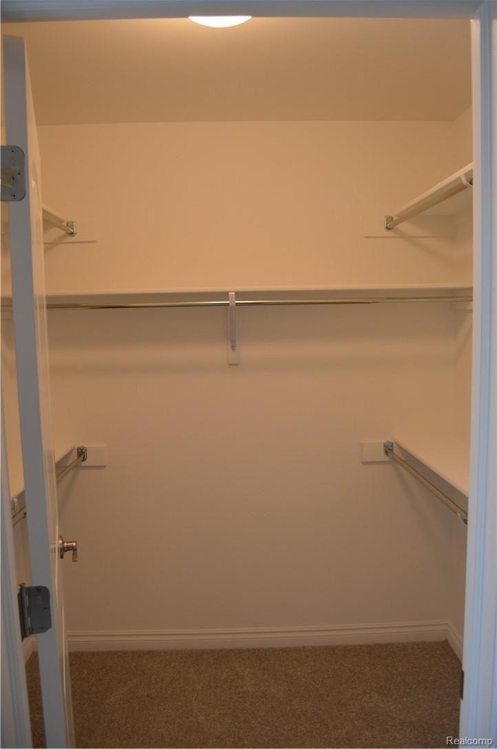 42619 Colonial Road Belleville, MI 48111 - Photo 14 of 19 Large Walk ins Throughout!