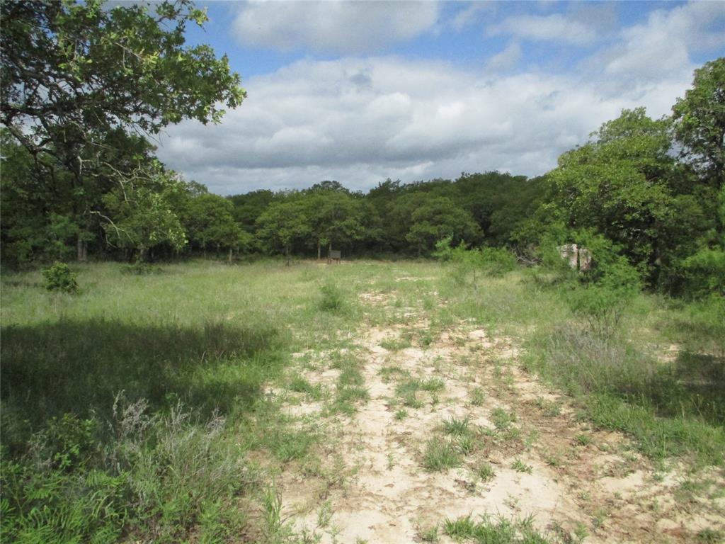 Two Bush Perrin, TX 76486 - Photo 1 of 1 Gallery Image 1