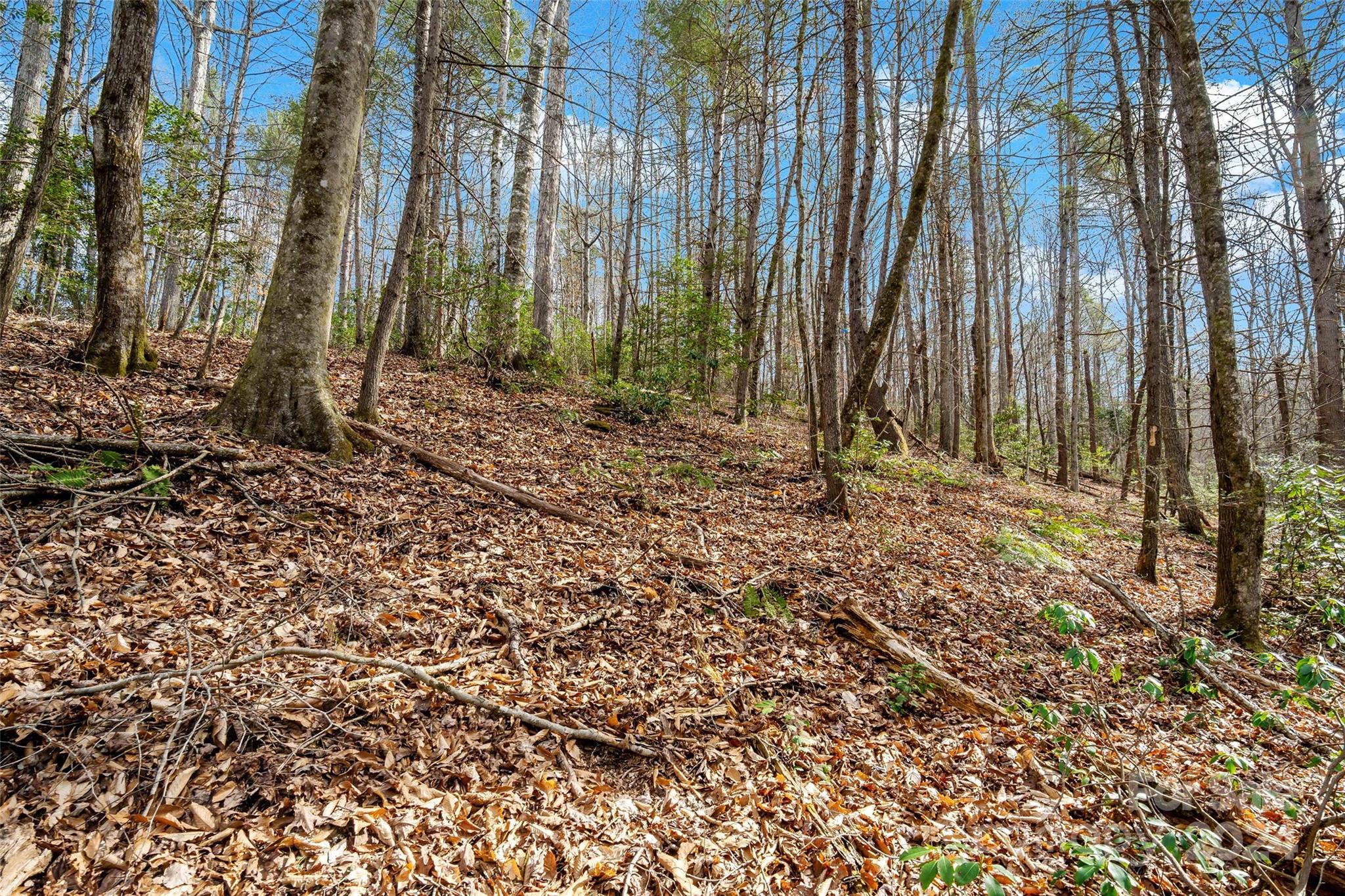 Vl West Payne Road Marion, NC 28752 - Photo 12 of 40 Gallery Image 12