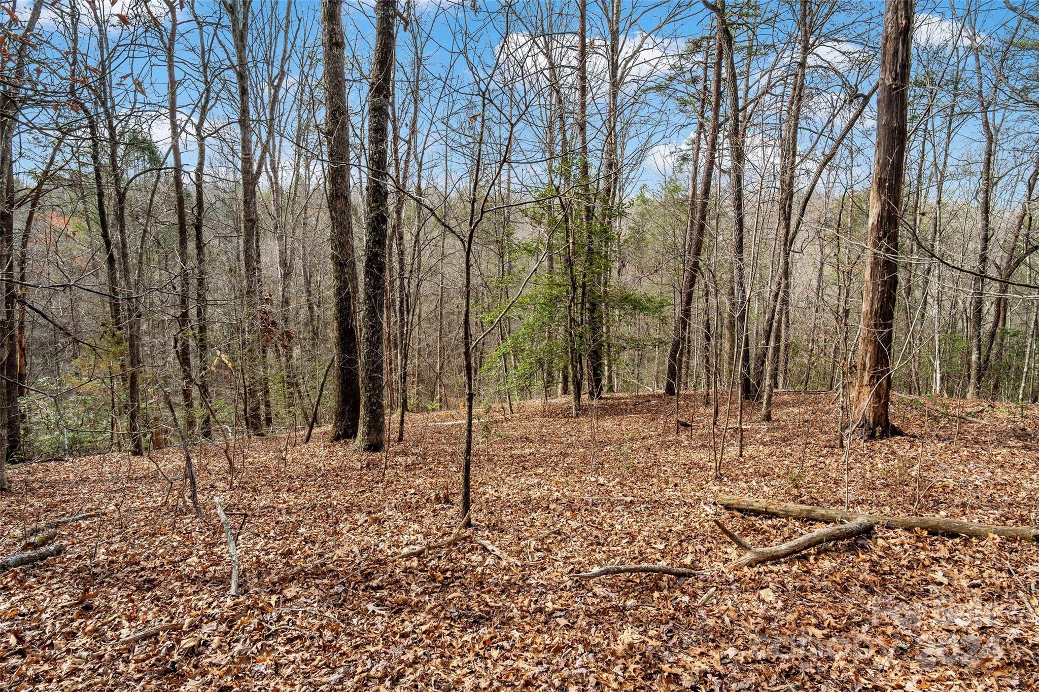 Vl West Payne Road Marion, NC 28752 - Photo 14 of 40 Gallery Image 14