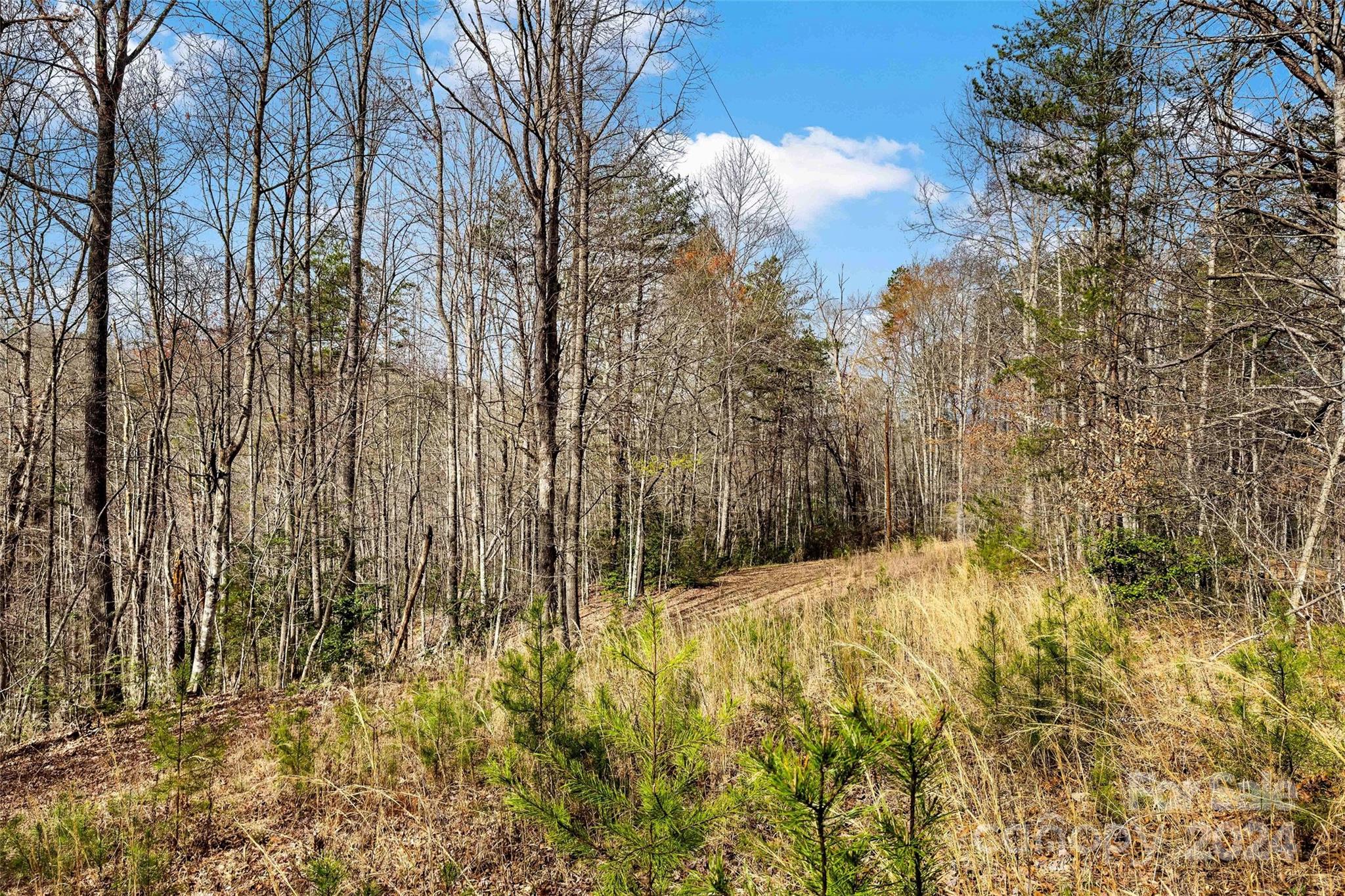 Vl West Payne Road Marion, NC 28752 - Photo 18 of 40 Gallery Image 18