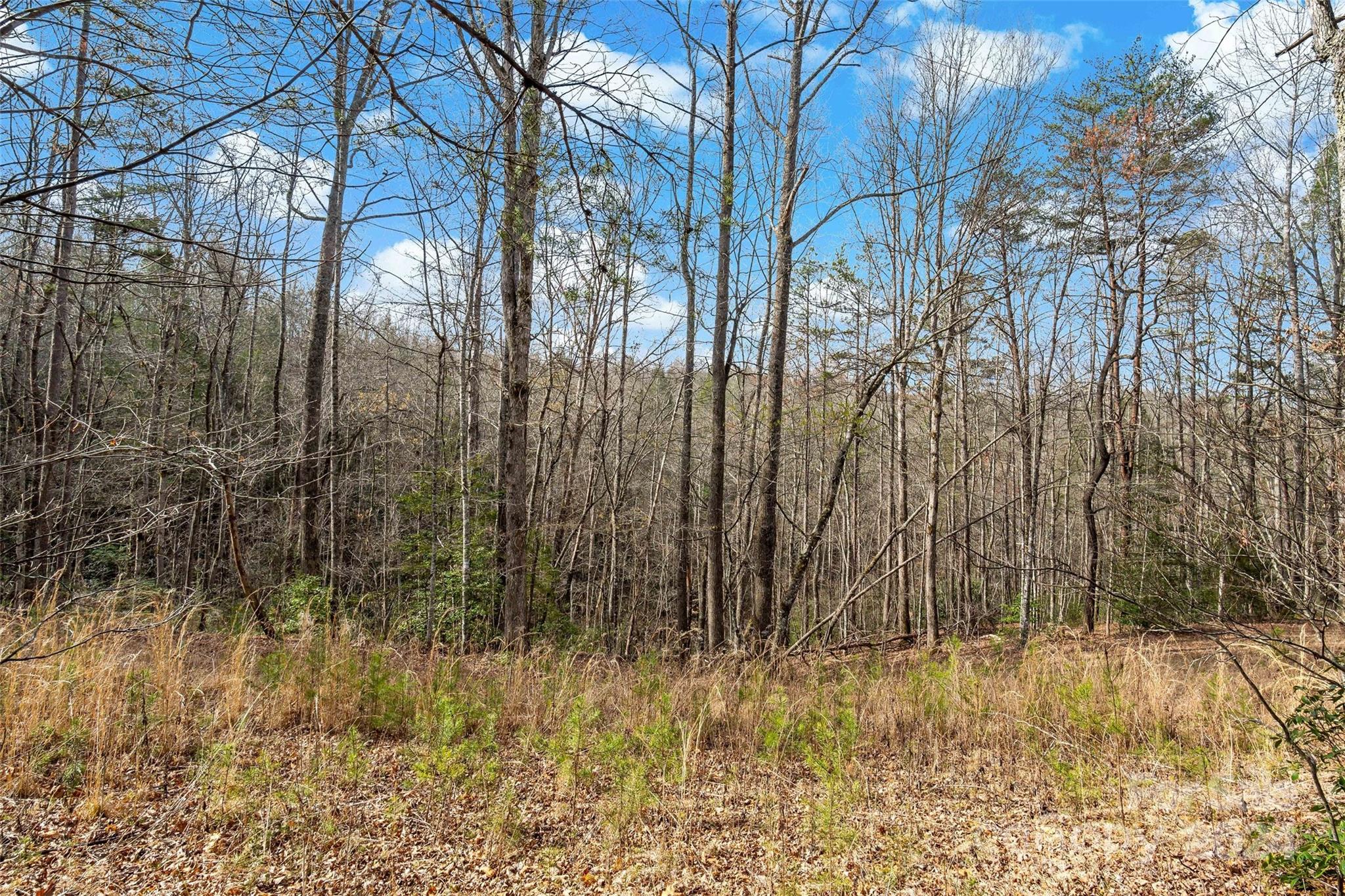 Vl West Payne Road Marion, NC 28752 - Photo 4 of 40 Gallery Image 4