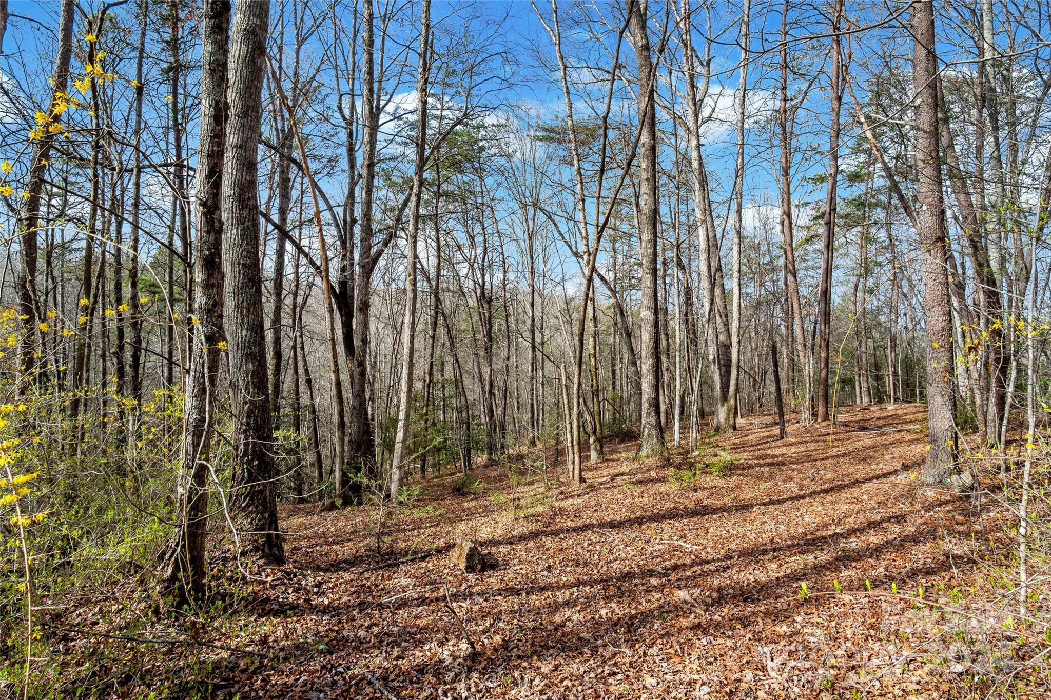 Vl West Payne Road Marion, NC 28752 - Photo 6 of 40 Gallery Image 6