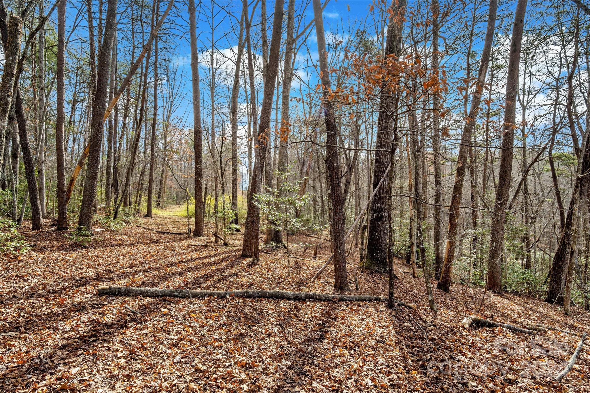 Vl West Payne Road Marion, NC 28752 - Photo 8 of 40 Gallery Image 8