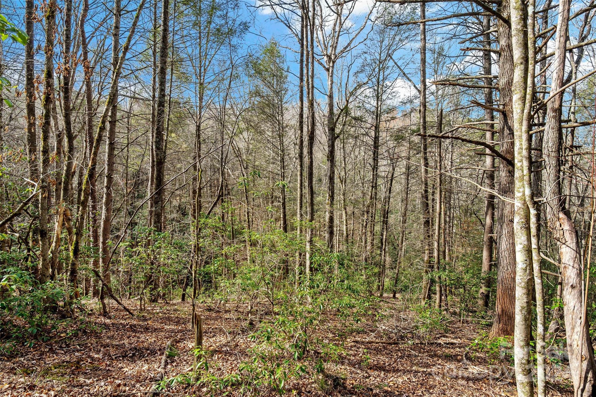 Vl West Payne Road Marion, NC 28752 - Photo 9 of 40 Gallery Image 9