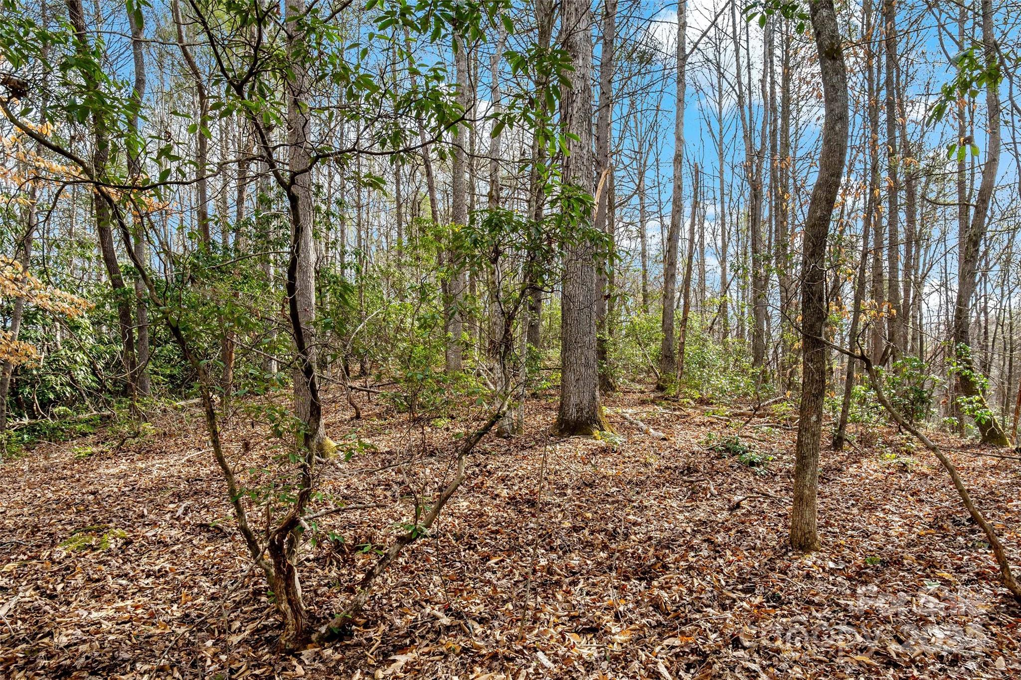 Vl West Payne Road Marion, NC 28752 - Photo 10 of 40 Gallery Image 10