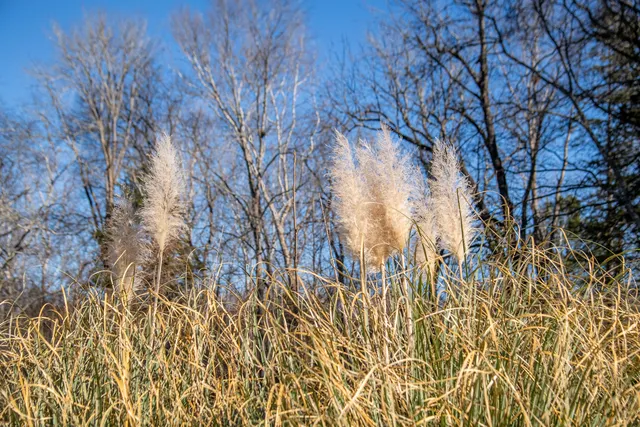 $419,900 | 4860 Highway 136, Chickamauga, GA 30707