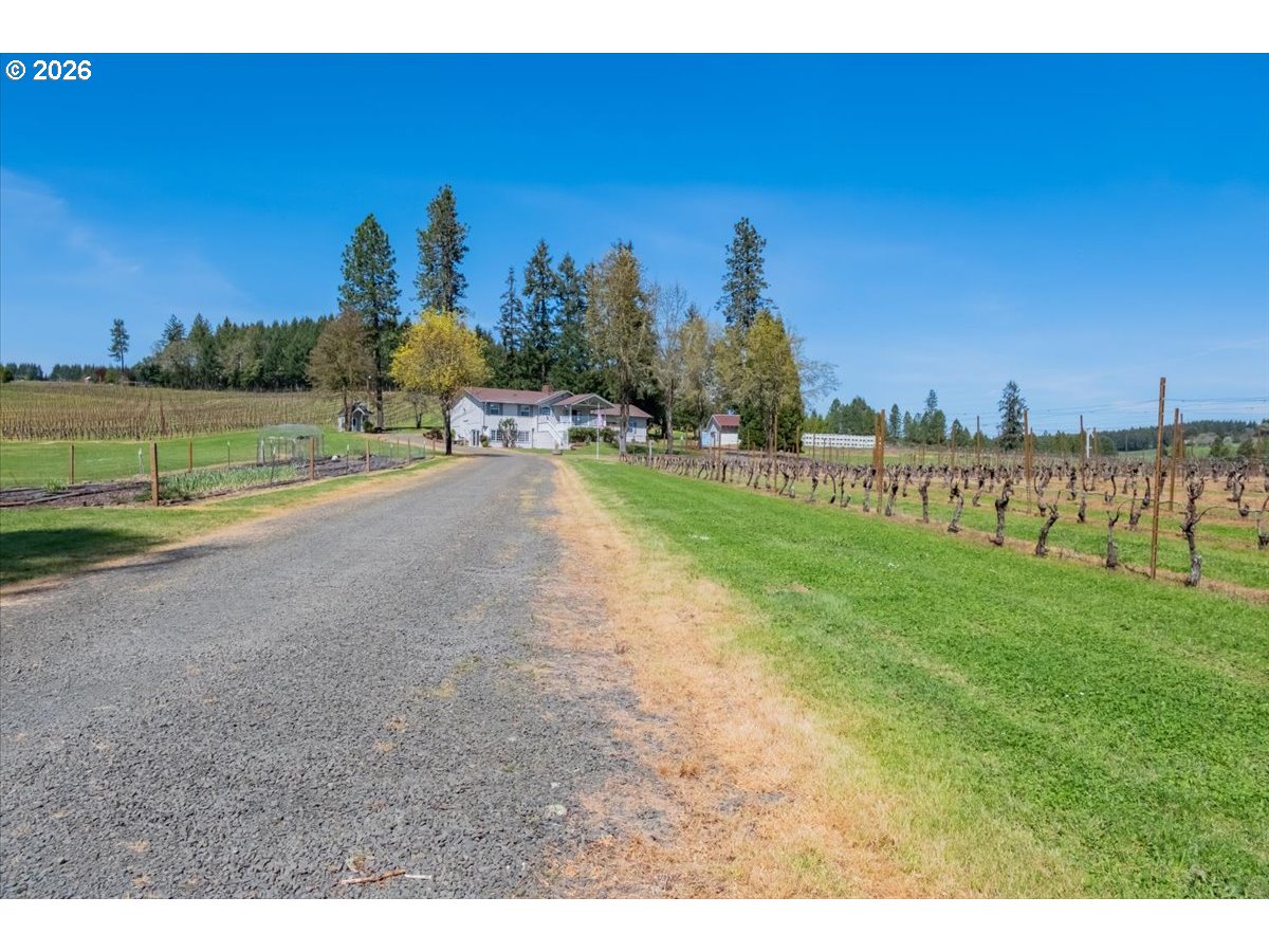 25357 High Pass Road Junction City, OR 97448 - Photo 3 of 43