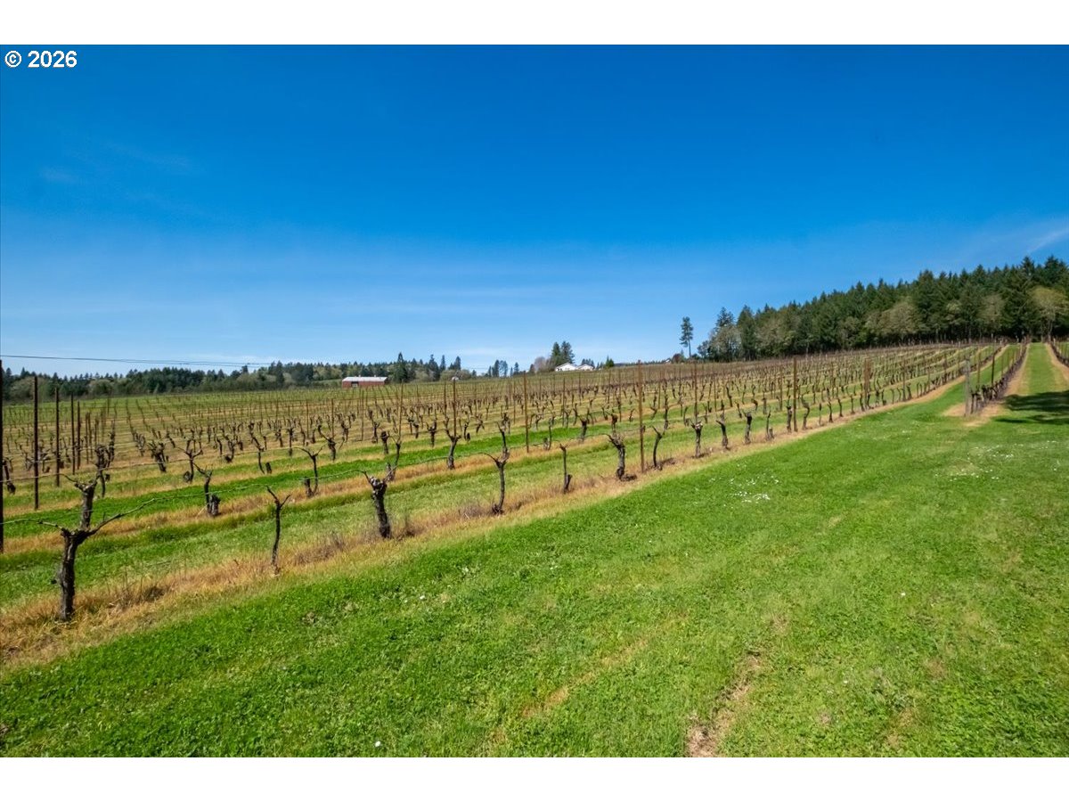 25357 High Pass Road Junction City, OR 97448 - Photo 40 of 43