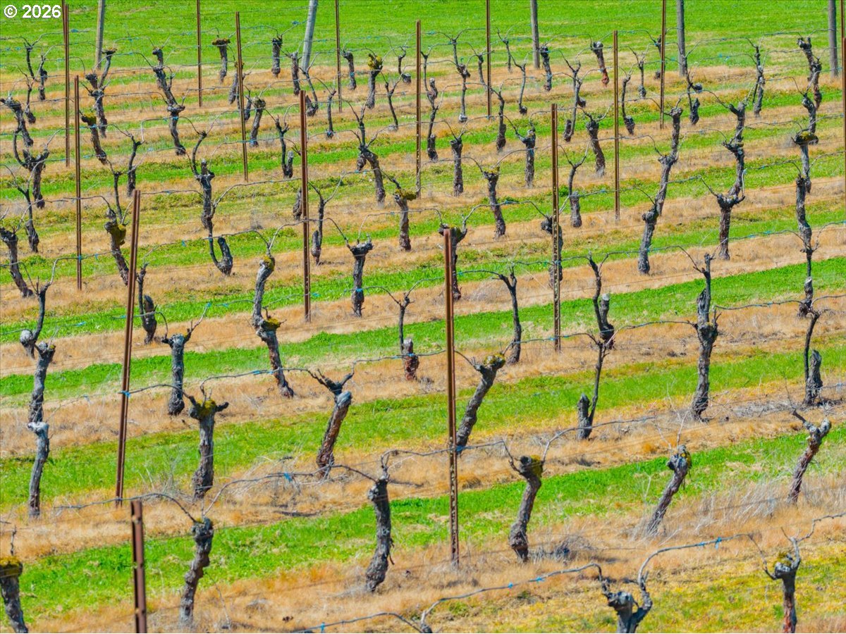 25357 High Pass Road Junction City, OR 97448 - Photo 42 of 43