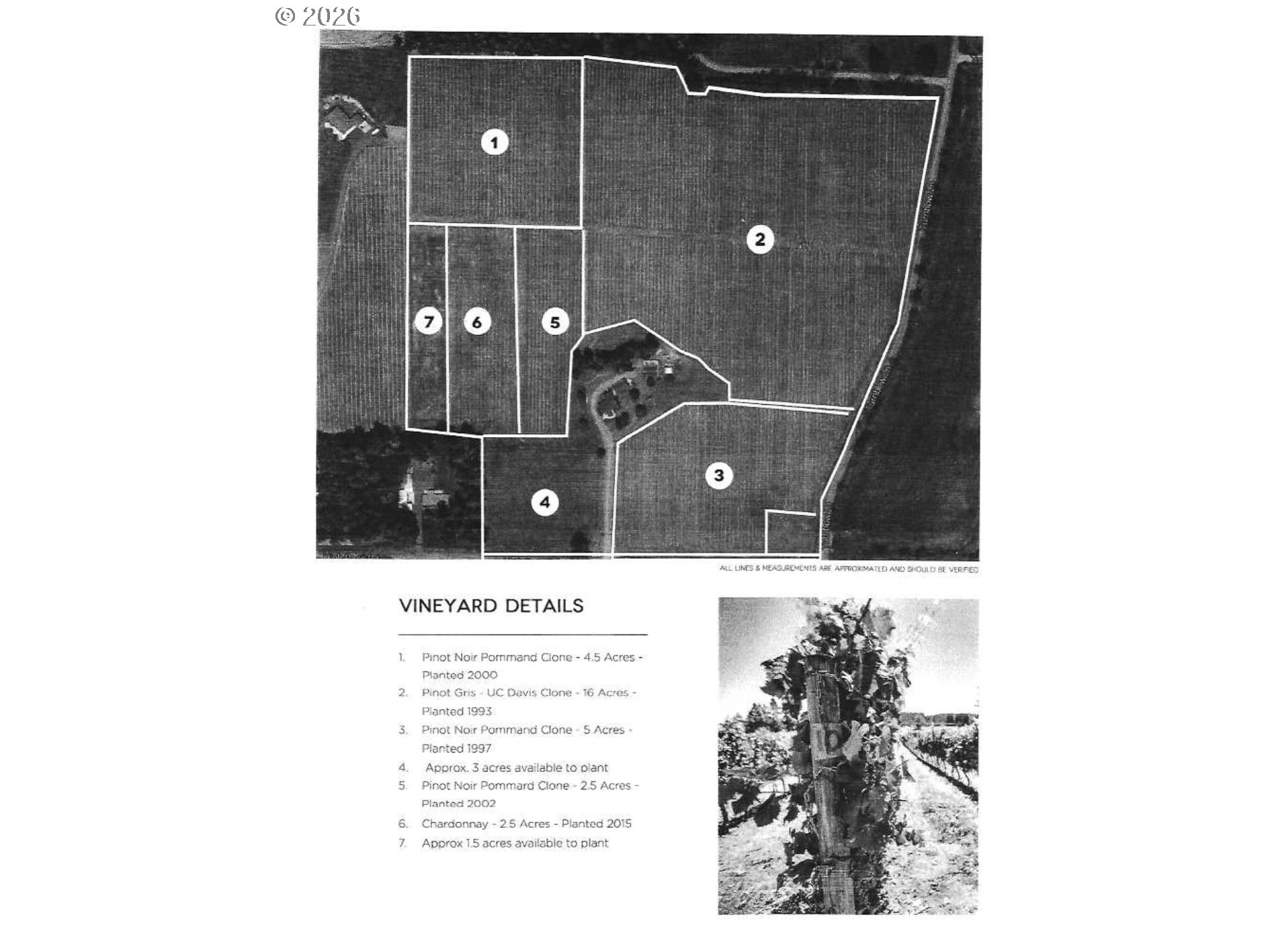 25357 High Pass Road Junction City, OR 97448 - Photo 43 of 43