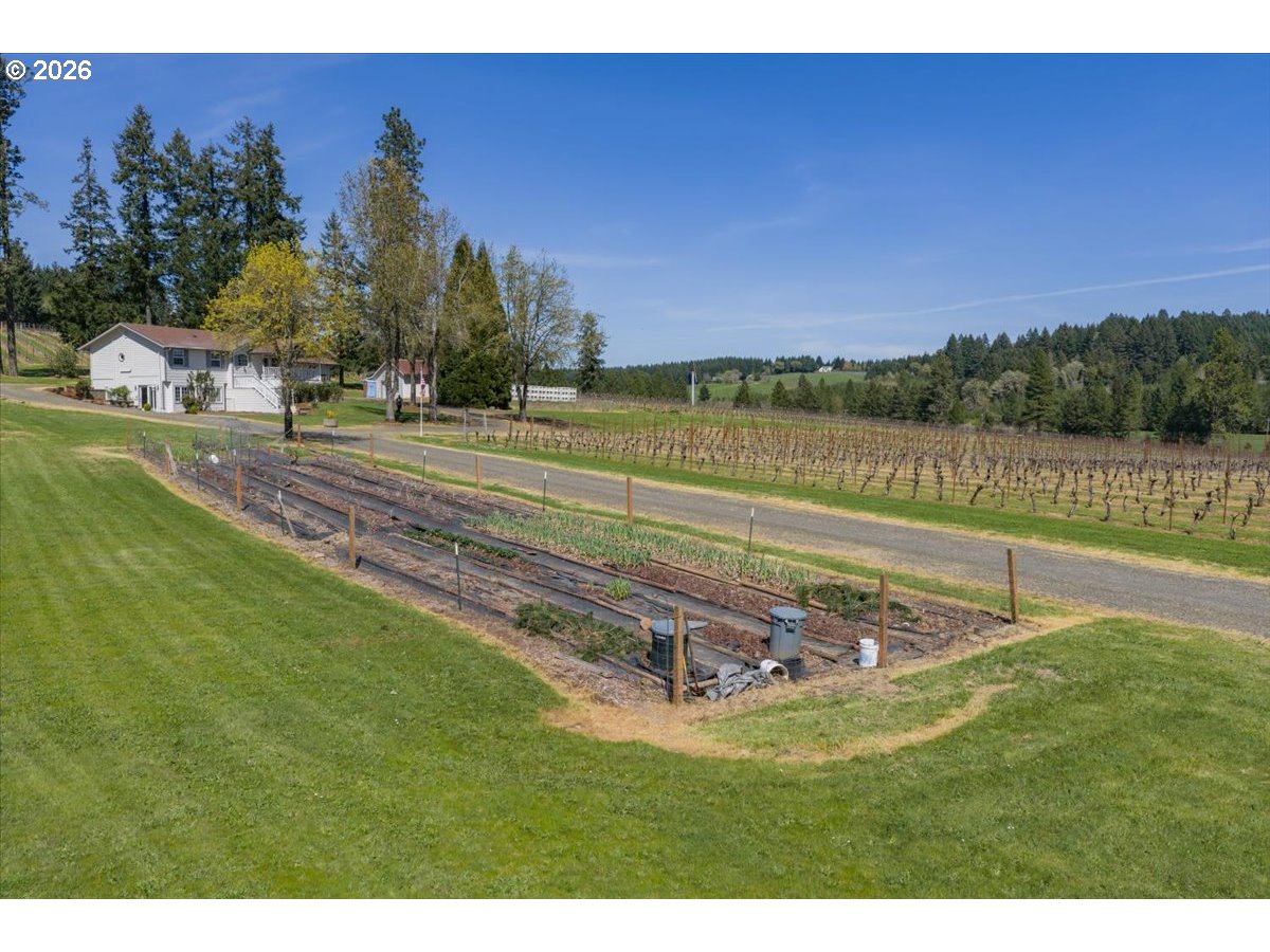 25357 High Pass Road Junction City, OR 97448 - Photo 5 of 43