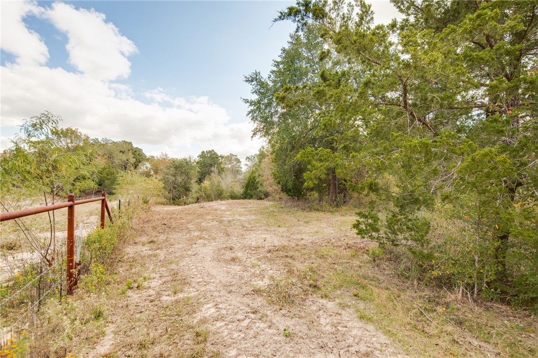 272 Pine Road Somerville, TX 77879 - Photo 9 of 15 a view of lake view