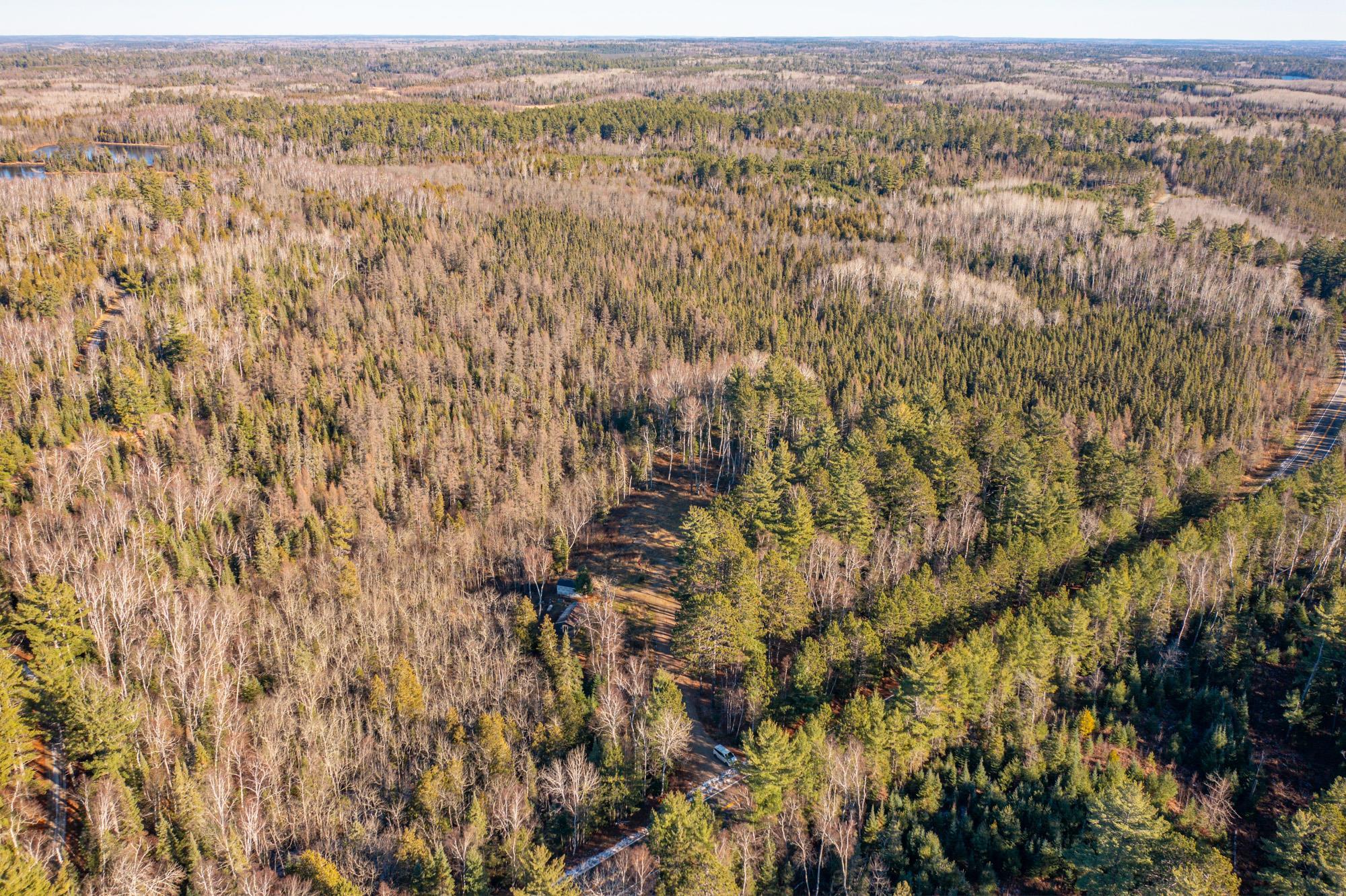 1346 Bear Head State Park Road Ely, MN 55731 - Photo 18 of 36 Aerial Forest