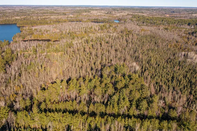 $150,000 | 1326 Bear Head State Park Road, Ely, MN 55731