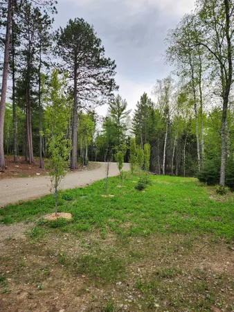 $147,000 | 1346 Bear Head State Park Road, Ely, MN 55731