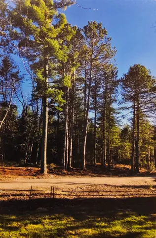 $147,000 | 1346 Bear Head State Park Road, Ely, MN 55731