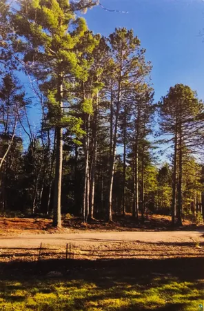$140,000 | 1346 Bear Head State Park Road, Ely, MN 55731