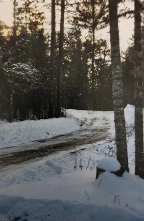 $147,000 | 1346 Bear Head State Park Road, Ely, MN 55731