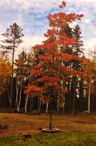 $147,000 | 1346 Bear Head State Park Road, Ely, MN 55731