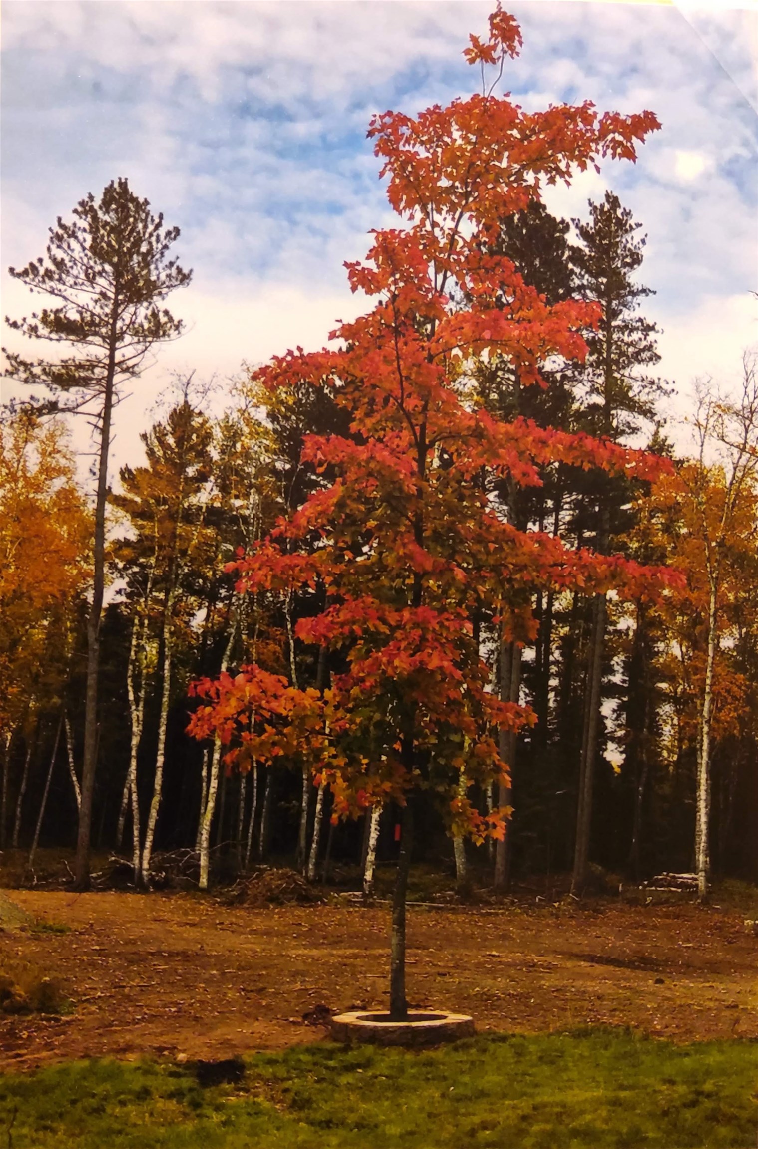 1346 Bear Head State Park Road Ely, MN 55731 - Photo 33 of 36