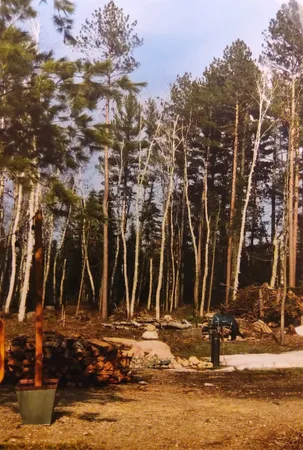 $147,000 | 1346 Bear Head State Park Road, Ely, MN 55731