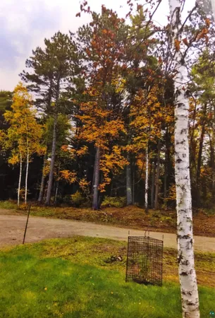 $140,000 | 1346 Bear Head State Park Road, Ely, MN 55731
