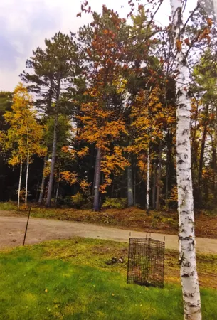 $147,000 | 1346 Bear Head State Park Road, Ely, MN 55731