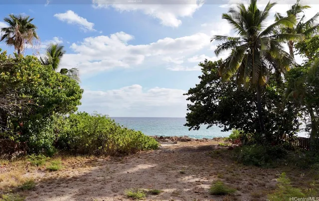 a view of a dry yard with green space