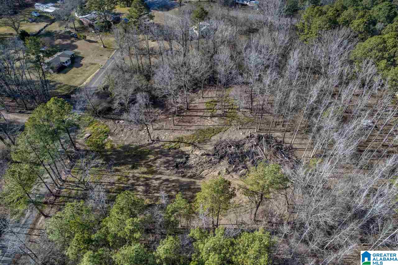 4491 Jim Tate Road Dora, AL 35062 - Photo 11 of 15