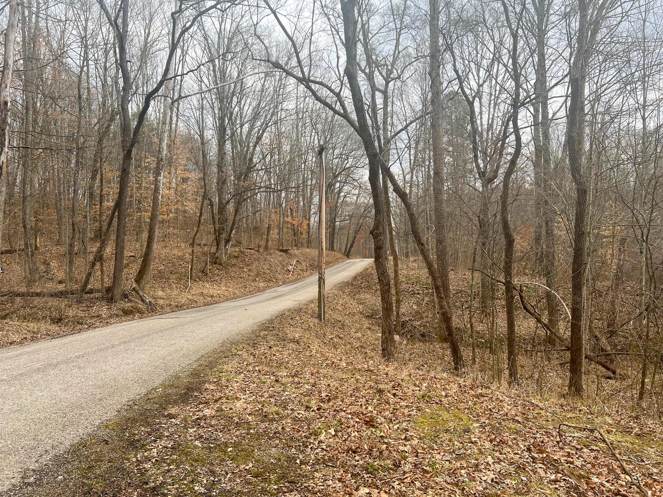 610 Cox Road Vinton, OH 45686 - Photo 10 of 12 IMG_6976-1
