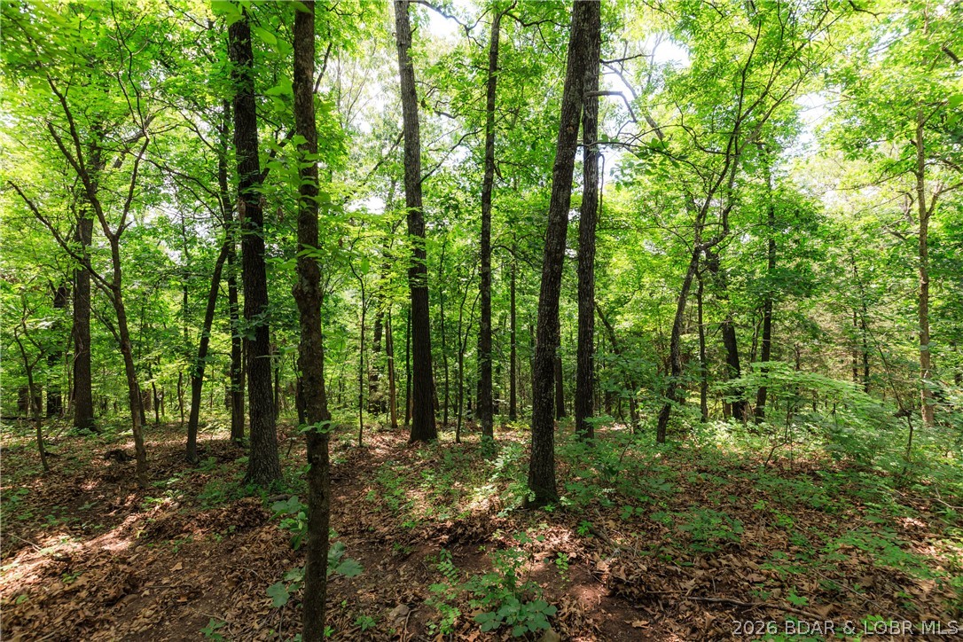 400 Hidden Acres Road Camdenton, MO 65020 - Photo 12 of 39