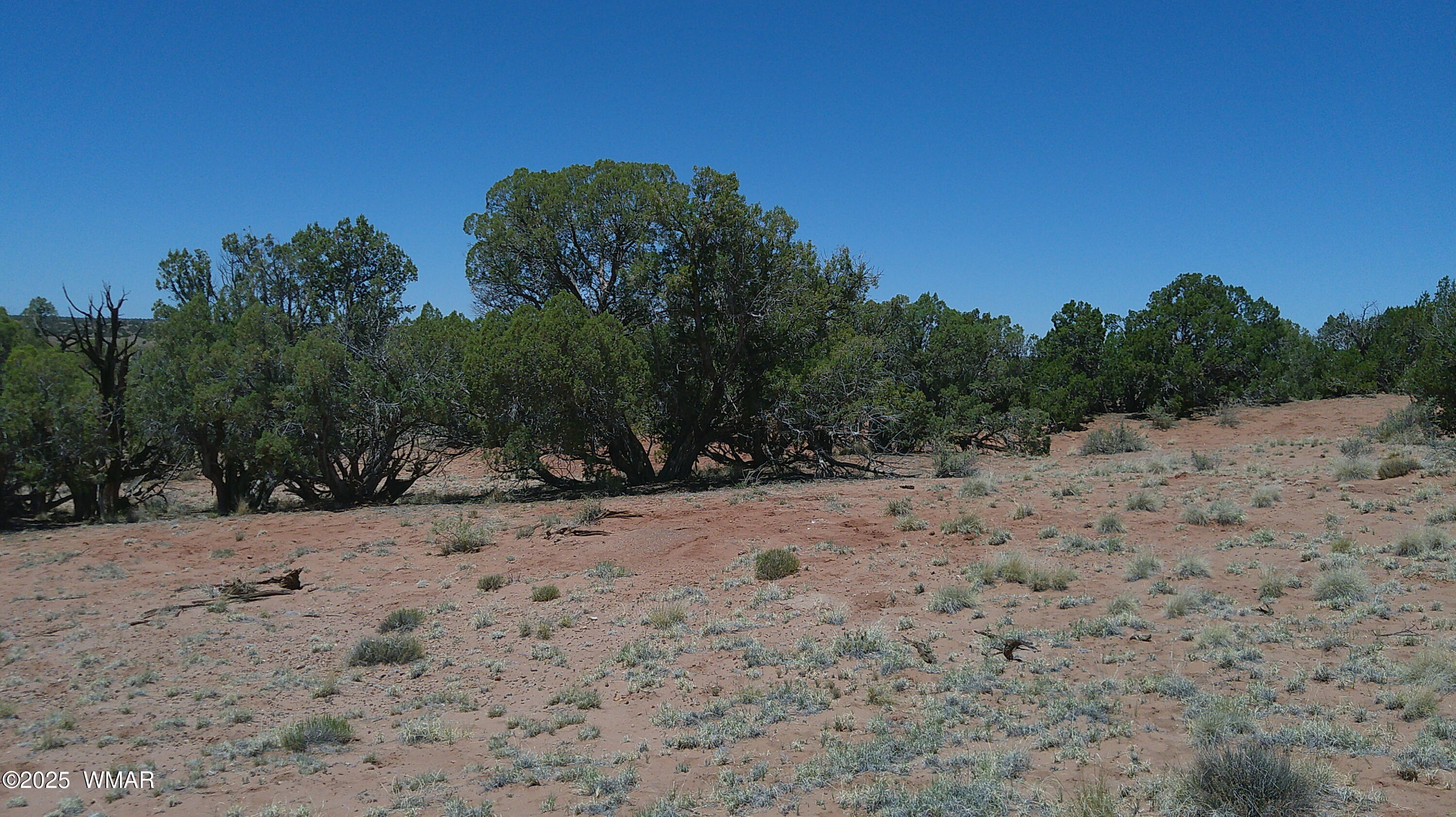 Tbd Tbd Rio Ranch Concho, AZ 85924 - Photo 24 of 44 DSCF0040