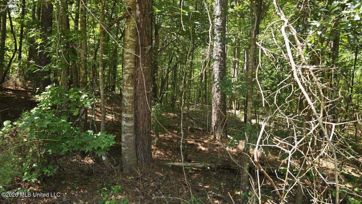 3995 Choctaw Road Brookhaven, MS 39601 - Photo 69 of 73 20260709_115242