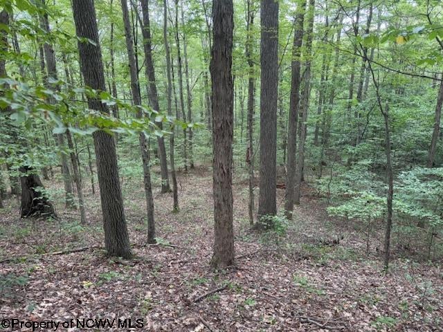 Tbd Simpson Road Belington, WV 26250 - Photo 13 of 30 Gallery Image 13