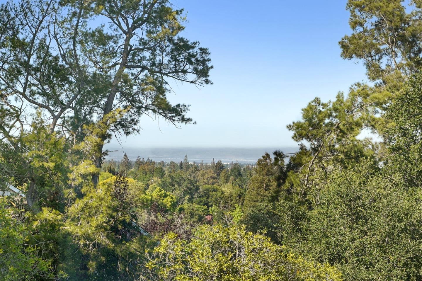 14160 Miranda Road Los Altos Hills, CA 94022 - Photo 29 of 30 a view of a bunch of trees